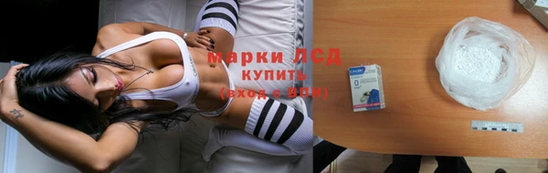 прущие грибы Верея