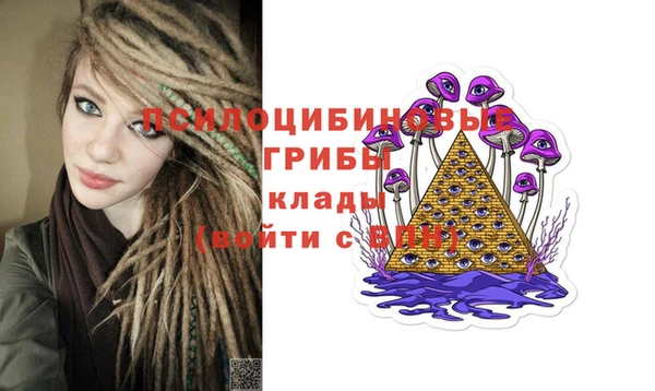 хмурый Михайлов