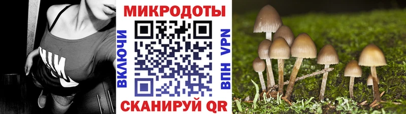 OMG рабочий сайт  Чердынь  Псилоцибиновые грибы прущие грибы  что такое наркотик 
